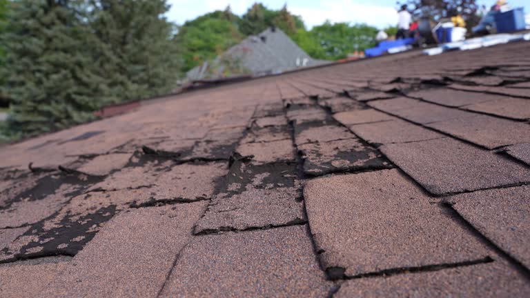 Fast & Reliable Emergency Roof Repairs in Princeton, WV