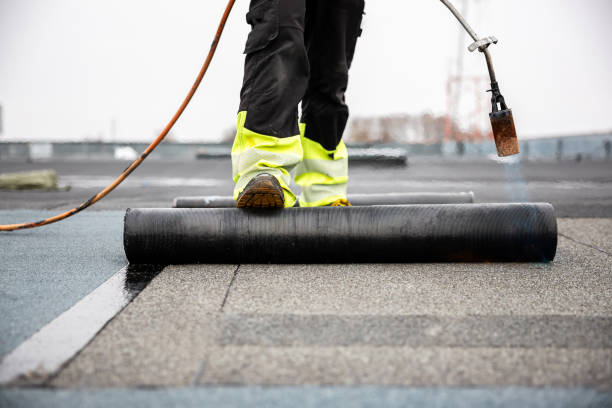 Best Roof Insulation Installation  in Princeton, WV