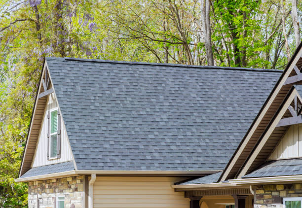 Best Roof Leak Repair  in Princeton, WV
